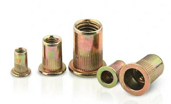 M8 M10 Noix à rivets aveugle pour fixation M2-M12 Q235A2-70 A4-80