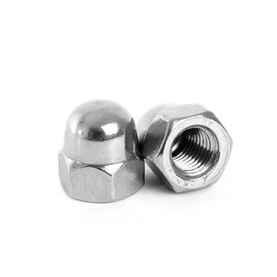 Construction M2-M30 Fastener 304 en acier inoxydable Hexagone Round Head Nut avec couvercle décoratif